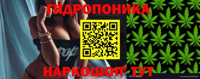 мяу мяу мука Пугачёв