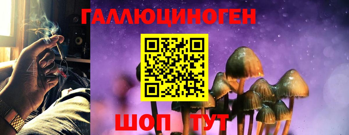 Галлюциногенные грибы MAGIC MUSHROOMS  Псилоцибиновые грибы MAGIC MUSHROOMS  хочу наркоту  Пушкино  Вход с VPN 